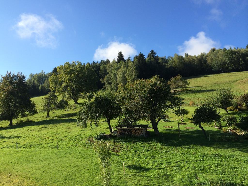 Le Floralp Aparthotel Combloux Eksteriør bilde