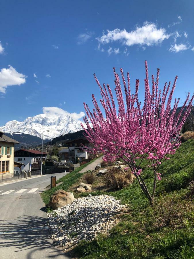 Le Floralp Aparthotel Combloux Eksteriør bilde